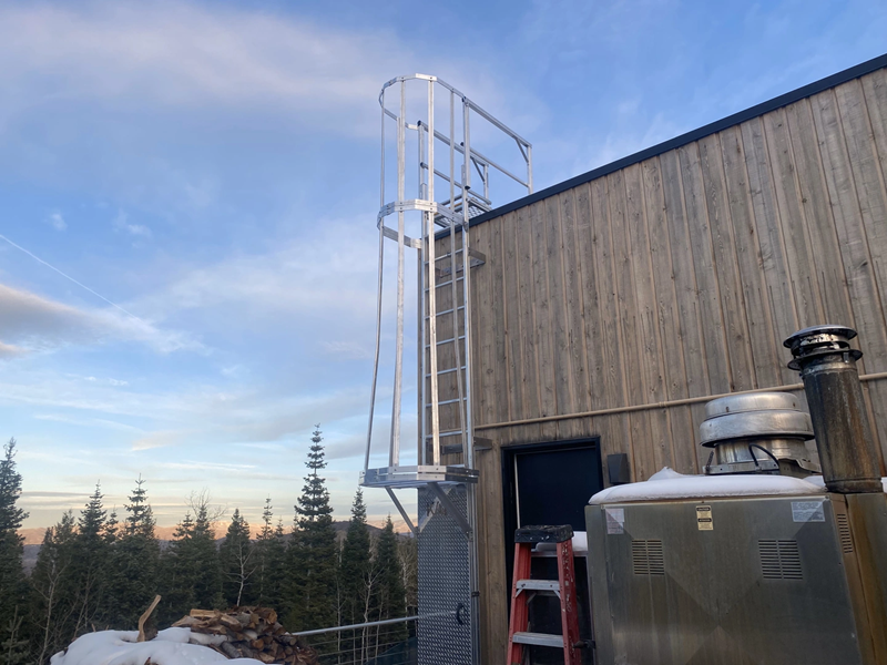 rl40-caged-fixed-ladders